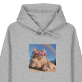 kotmainecoonmarzyciel-SZARA.png