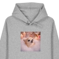 chihuahuamarzyciel-SZARA.png