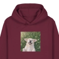 labradorbiszkoptmarzyciel-BORDOWA.png