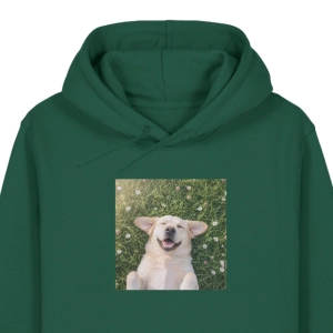Bluza z kapturem LABRADOR BISZKOPT MARZYCIEL