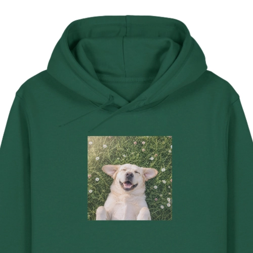 labradorbiszkoptmarzyciel-BUTELKOWA ZIELEŃ.png