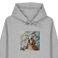 bassetmarzyciel-SZARA.png