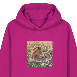 Bluza z kapturem KOŃ MARZYCIEL