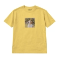 jack-russell-marzyciel (3).png