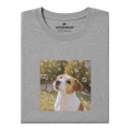 jack-russell-marzyciel.png