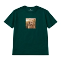 golden-retriever-marzyciel (5).png