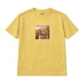 golden-retriever-marzyciel (3).png