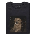 nocny-golden-retriever.png