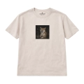 nocny-shiba-inu (4).png