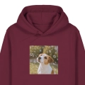 JACKRUSSELLMARZYCIEL-BORDOWA.png