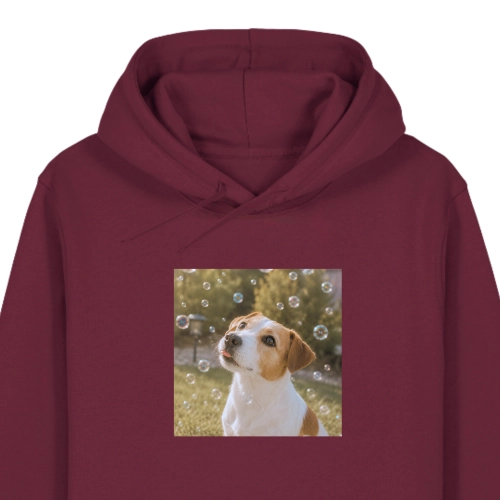 JACKRUSSELLMARZYCIEL-BORDOWA.png