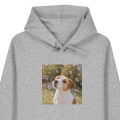 JACKRUSSELLMARZYCIEL-SZARA.png