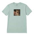 corgi-marzyciel-aloesowy.png