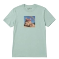 kotmainecoon-marzyciel-aloesowy.png