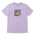 kotmainecoon-marzyciel-lawendowy.png