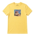kotmainecoon-marzyciel-żółty.png