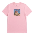 kotmainecoon-marzyciel-jasnoróżowy.png