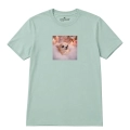 chihuahua-marzyciel-aloesowy.png