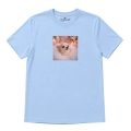 chihuahua-marzyciel-błękitny.png
