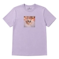 chihuahua-marzyciel-lawendowy.png
