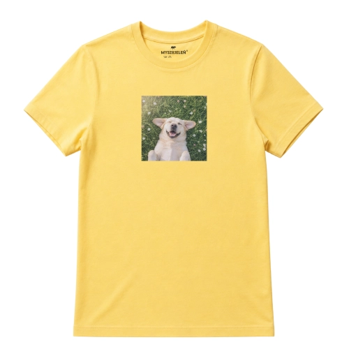 labradorbiszkopt-marzyciel-żółty.png