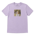 jack-russell-marzyciel-lawendowy.png