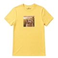golden-retriever-marzyciel-żółty.png