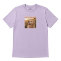 golden-retriever-marzyciel-lawendowy.png