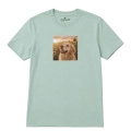 golden-retriever-marzyciel-aloesowy.png