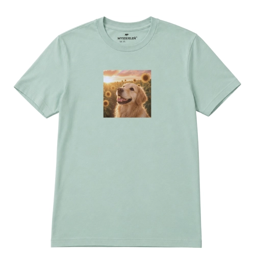 golden-retriever-marzyciel-aloesowy.png
