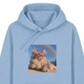 kotmainecoonmarzycielblekitna.png