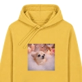 chihuahuamarzycielzolta.png