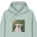 labradorbiszkoptmarzycielaloesowa.png