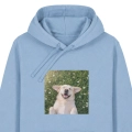 labradorbiszkoptmarzycielblekitna.png