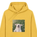 labradorbiszkoptmarzycielzolta.png
