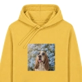 bassetmarzycielzolta.png