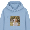 JACKRUSSELLmarzycielblekitna.png