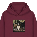Bluza z kapturem WYLUZOWANY BORDER COLLIE PODRÓŻNIK