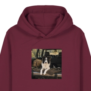 Bluza z kapturem WYLUZOWANY BORDER COLLIE PODRÓŻNIK