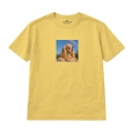 cocker spaniel-marzyciel (3).png