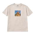 cocker spaniel-marzyciel (2).png