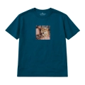 shiba-marzyciel (6).png