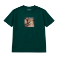 shiba-marzyciel (5).png