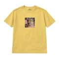 shiba-marzyciel (3).png
