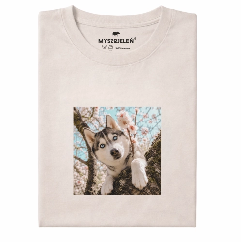 husky-marzyciel.png