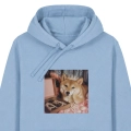 shiba-marzyciel-blekitna (2).png