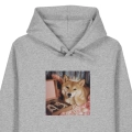 shiba-marzyciel-SZARA (2).png