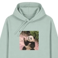 panda-marzycielka-aloesowa (2).png