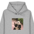 panda-marzycielka-SZARA (2).png