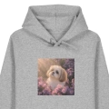 shihtzu-marzyciel-SZARA (2).png